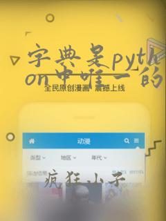 字典是python中唯一的