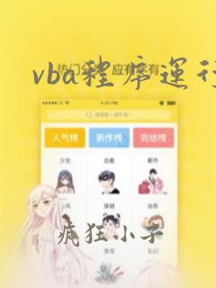 vba程序运行