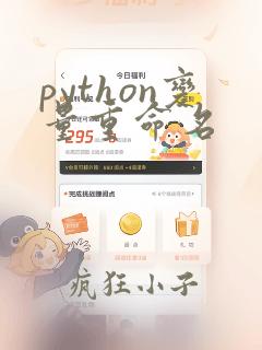 python变量重命名