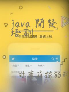 java 开发培训