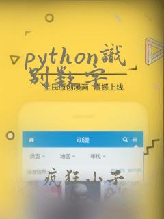 python识别数字