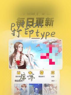 python 打印type