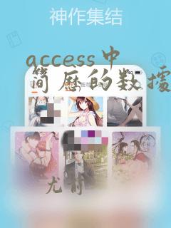 access中简历的数据类型