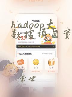 hadoop大数据项目实训