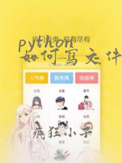 python 如何写文件