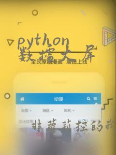 python 数据大屏