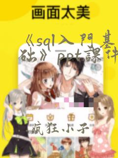 《sql入门基础》ppt课件