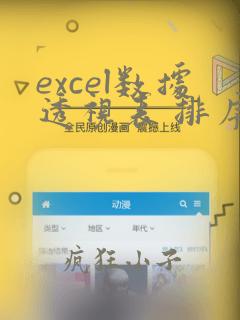 excel数据透视表 排序