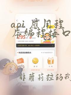 api 应用程序编程接口