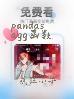 pandas agg函数