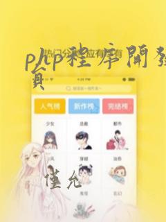 php程序开发员