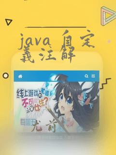 java 自定义注解