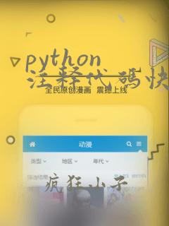 python 注释代码快捷键