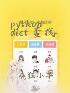 python dict 查找