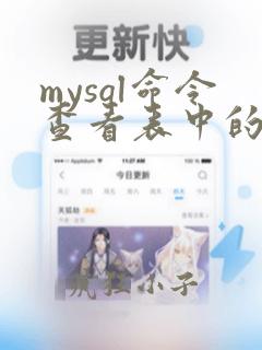 mysql命令查看表中的数据