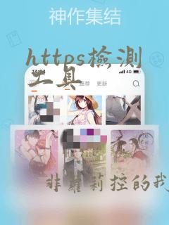 https检测工具