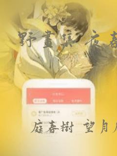 野画集 夜春宫