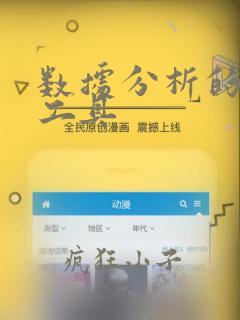 数据分析的常用工具