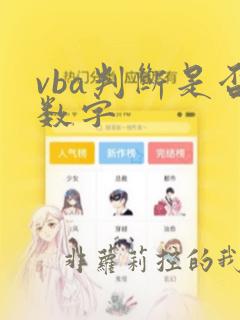 vba判断是否数字