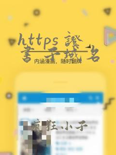 https 证书 子域名