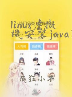 linux虚拟机安装java环境