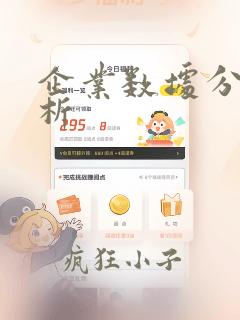 企业数据分析分析