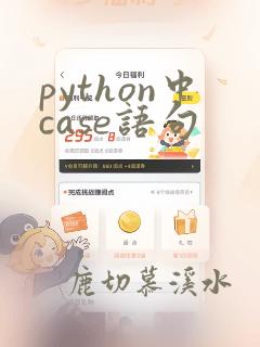 python中case语句