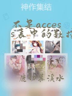 不是access表中的数据类型