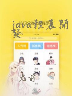 java报表开发