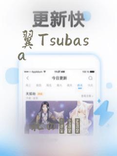翼Tsubasa：结局+番外