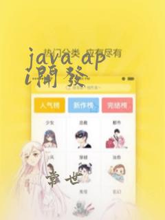 java api开发