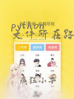 python 文件所在路径