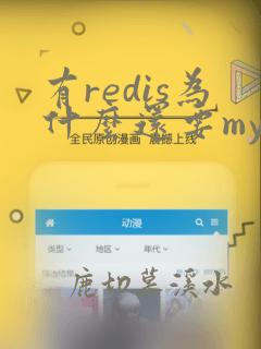有redis为什么还要mysql