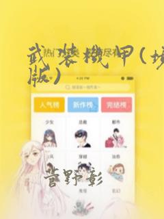 武装机甲(境外版)：结局+番外