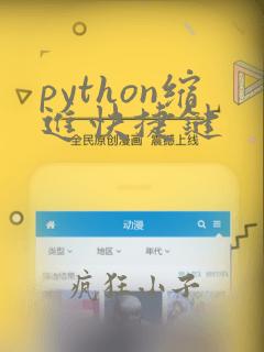 python缩进快捷键