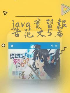 java实习报告范文5篇