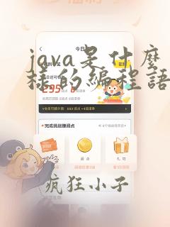 java是什么样的编程语言