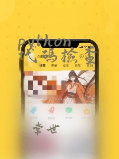 python 代码检查