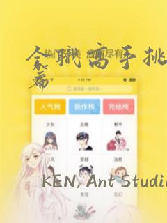 全职高手挑战赛篇