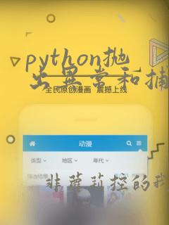 python抛出异常和捕获异常