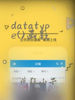 datatype()函数