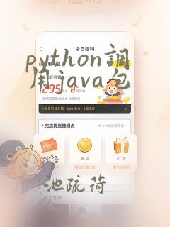 python调用java包