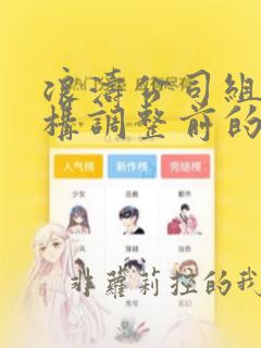 浪涛公司组织结构调整前的组织结构是