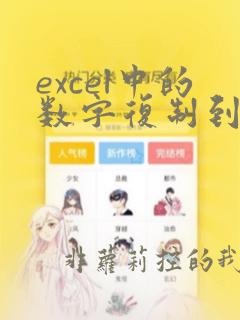 excel中的数字复制到word表格中带空格