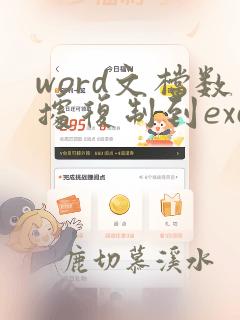 word文档数据复制到excel表格