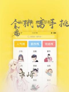全职高手挑战赛篇：结局+番外