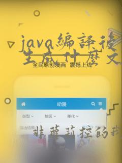 java编译后生成什么文件