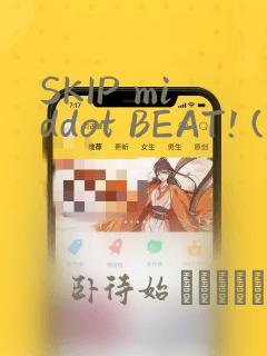 SKIP middot BEAT! (华丽的挑战)