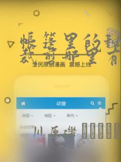 帐篷里的秘密未裁剪哪里有