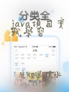java项目实战学习